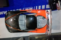 dsc (45)