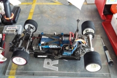 dsc (14)