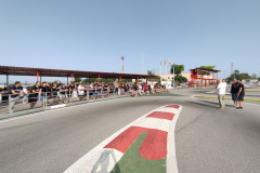 IMG_20220619_090832_resize