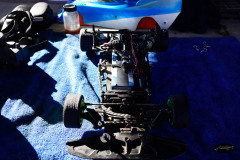 DSC0239