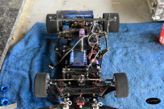 DSC5335